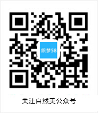 微信订阅号